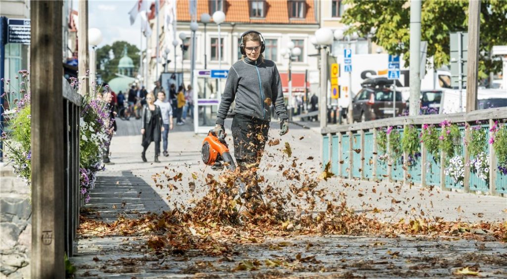 Lietas, kas jāņem vērā, iegādājoties lapu pūtēju